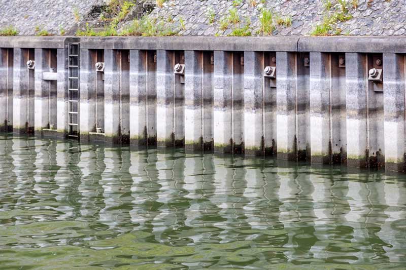 Bulkhead